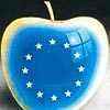 Avrupa yolunda 4 engel var