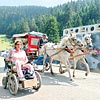 Engelliler