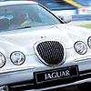 Jaguar'n