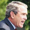 Bush'u