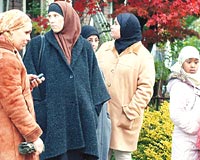 Hollanda