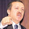 Yln Siyasetisi