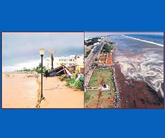 Tsunami gibi