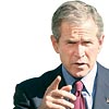 Bush'un