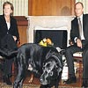Putin'in