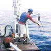 Marmara
