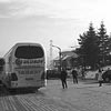 Bolu