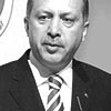 Tarm sektr en byk nceliimiz