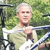 Bush
