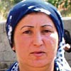 Annesinin