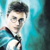 Potter'n