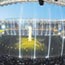 Fener'in