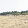 Cezaevinden