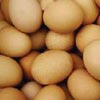 Yumurta,