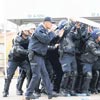 Polise