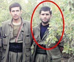 Hain duvara arpt