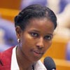 Hirsi