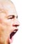 Alex'in Fener ak bambaka