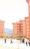 Kontrat