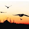 stanbul