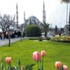stanbul'da