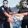 Polisin