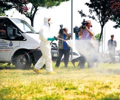 Keneyi brak tavua bak!