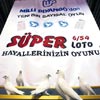 Sper