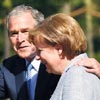 Bush