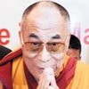 Lama,