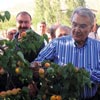 Temelimiz