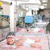 Standarta uymayan bahekim istifa etsin