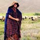 Erbakan'n yz gld