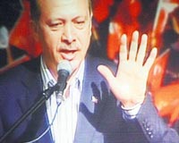 Ar damarlar atlam