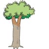 Aa